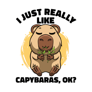 I Just Really Like Capybaras Lover Rodent Zoo Cute Capybara T-Shirt