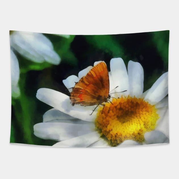 Skipper on a Daisy Tapestry by SusanSavad