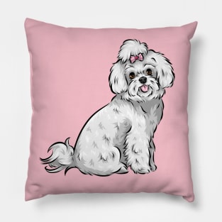 Cute Maltese Dog Pillow