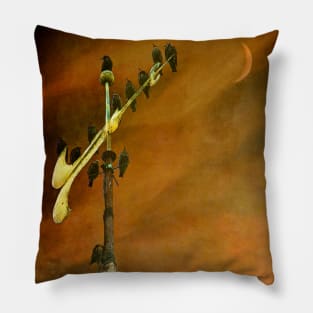 Steeple Starlings Pillow