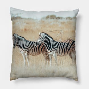 African Zebras 2 Pillow