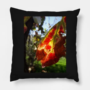 Grape leaf in the sun Pillow