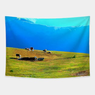 View at a Sibillini mountain ridge, meadows and bovines Tapestry