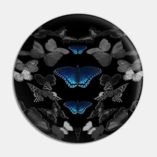 Black and White Flying Butterflies All Around Blue Butterflies Pin