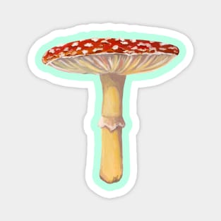 Mushroom Master Fly Agaric Magnet