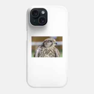 Bird of prey - Kestrel Phone Case