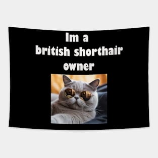 Im a british shorthair owner Tapestry