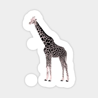 Cute Pink Black Giraffe Animal White Design Magnet