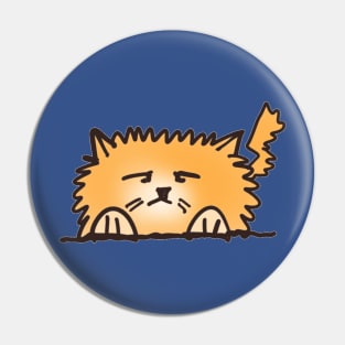 Fluffy Orange Cat Pin