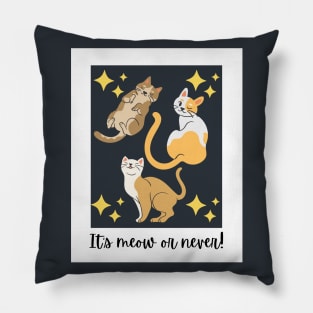 It's Meow Or Never! Pillow