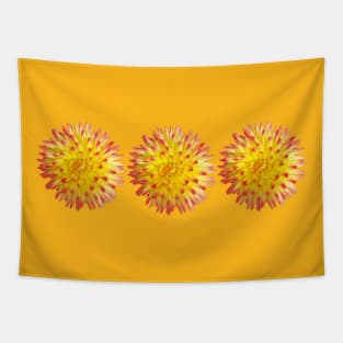 Three Yellow and Pink Spiky Flowers Floral Photo Tapestry