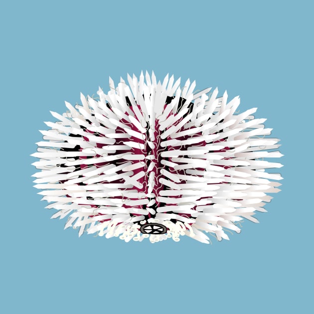 White and red sea urchin animal by FabuleusePlanete