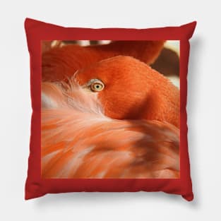 Caribbean Flamingo Pillow