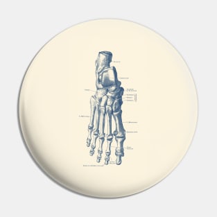 Right Foot Skeletal Diagram - Vintage Anatomy Poster Pin