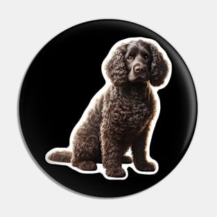 American Water Spaniel Pin