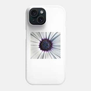 Closeup of white African daisy Phone Case