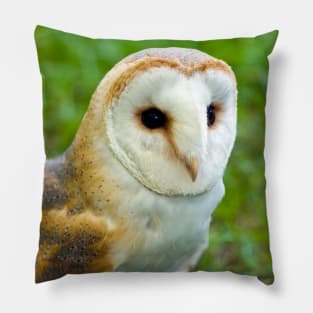 Barn Owl Pillow