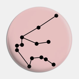 Aquarius Astrology Constellation Pin