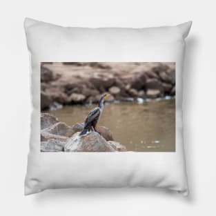 Cormorant  On The Rocks Pillow