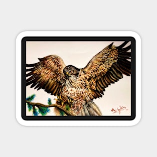 Golden Eagle In Flight Magnet