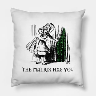 Matrix Has You Pillow