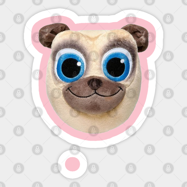 white pug with blue eyes