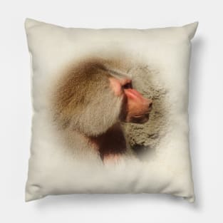 Baboon Pillow