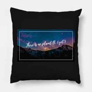There is no planet B (yet) Pillow