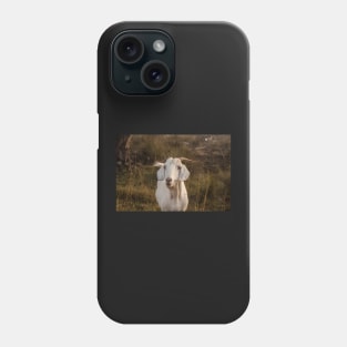 Nanny Goat Phone Case