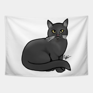 Cat - British Shorthair - Black Tapestry