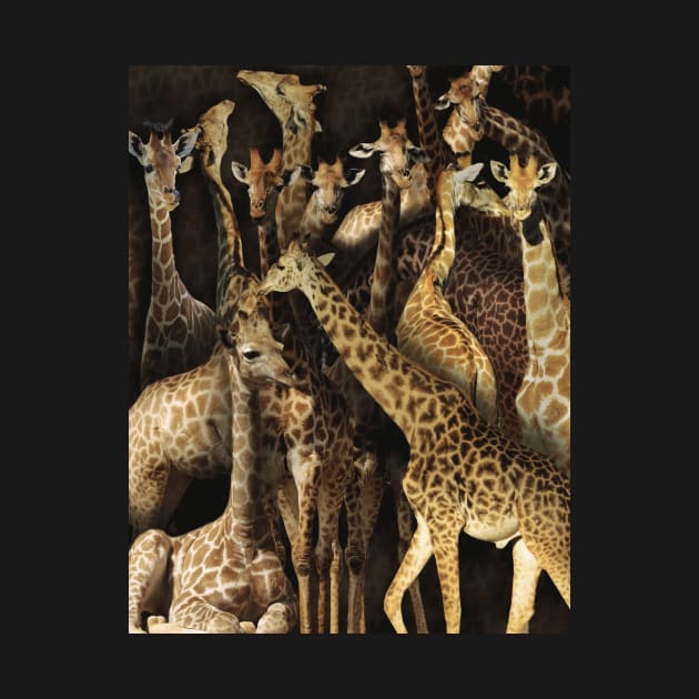 Giraffes by MaxencePierrard