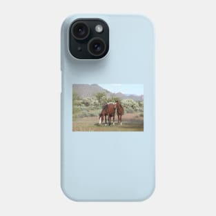 Wild horses, salt river, Sonoran desert, Arizona, wildlife gifts Phone Case