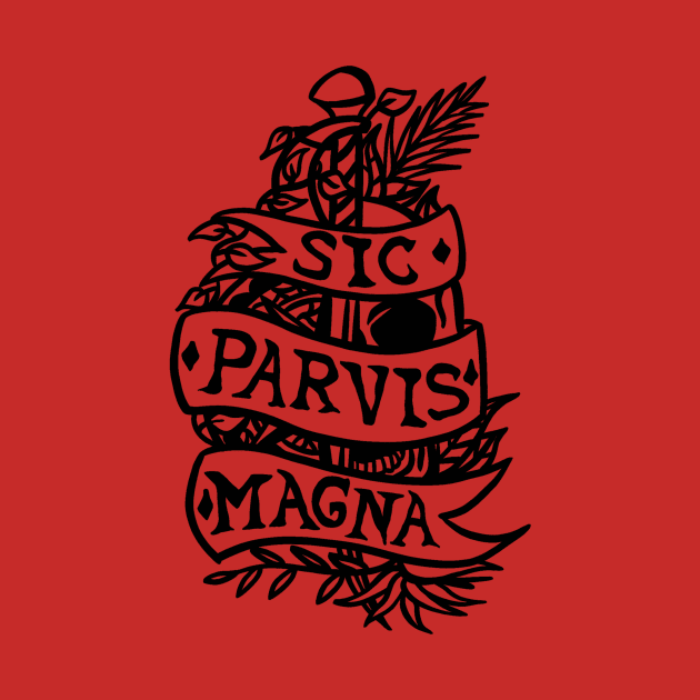 Sic Parvis Magna by idontfindyouthatinteresting