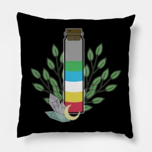 Disability Awareness Potion Pillow