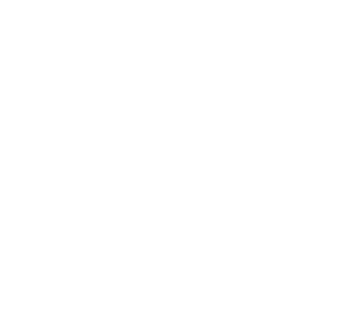 St. Paddy's Day: Irish Spirit Magnet