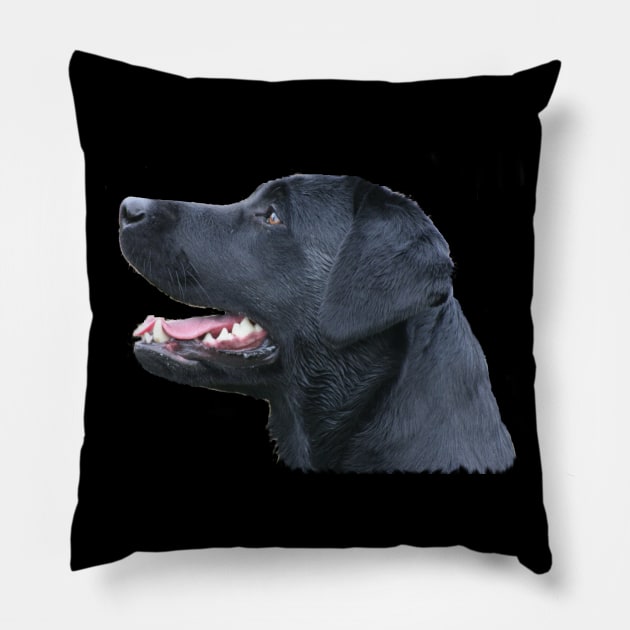 Black Labrador Pillow by dodgerfl