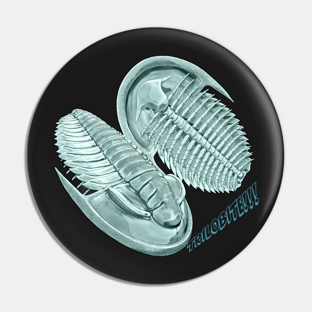 Estaingia bilobata, Cambrian trilobite. Pin by KKpalaeoartist