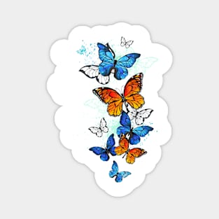 Flying Butterflies Morpho and Monarch Magnet