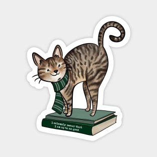 HP Green House Cat, Books and Quote Magnet