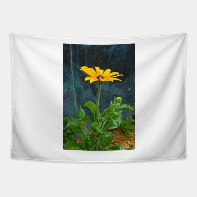 Black Eyed Susan Solo Tapestry by bobmeyers