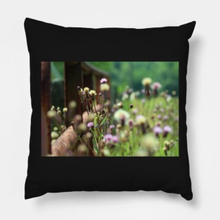 Summer Hazy Lazy Days of Nature Soft Focus Design face masks, Phone Cases, Apparel & Gifts Pillow