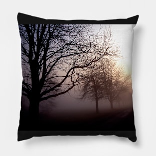 Winters Landscape Pillow