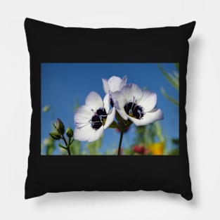 Bird's-eye Gilia Pillow