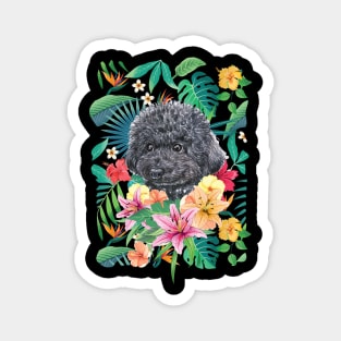 Tropical Black Toy Poodle Magnet