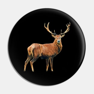 Deer - Woodland Themed Kids Room, Funny Gifts For Forester, Cute Animals Pin