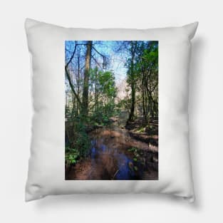 Crystal Clear Pillow