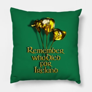 Remember who Died for Ireland Pillow