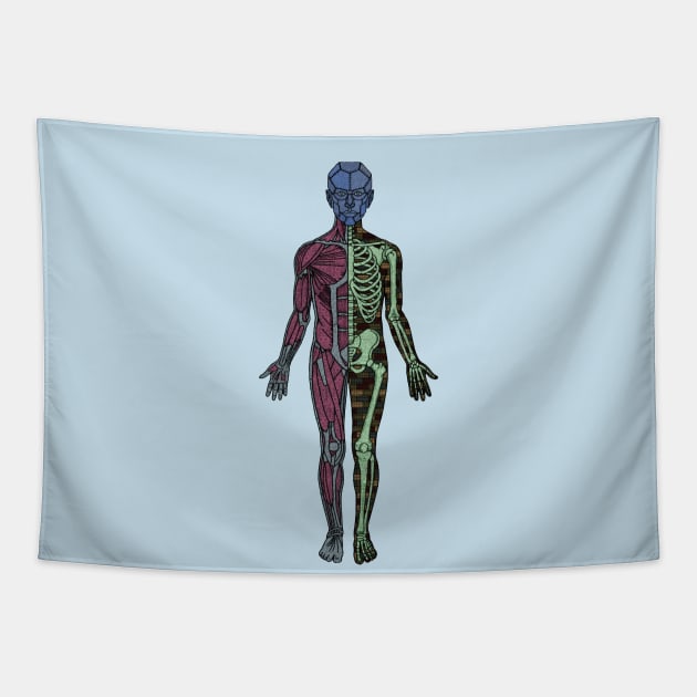 Android anatomy Tapestry by Muga Design