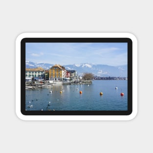 Vevey on the lake Geneva in Switzerland Magnet