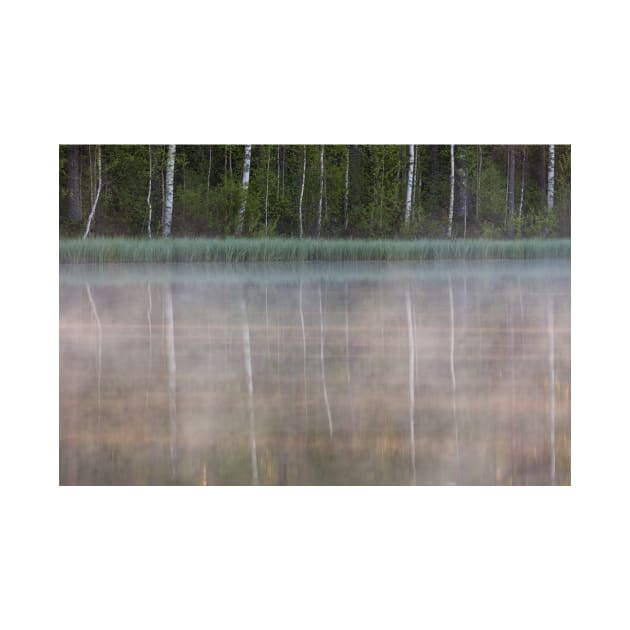 Forest reflecting to small lake at morning by Juhku